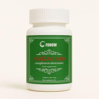 🌊 FOHOW HAIZAO GAI