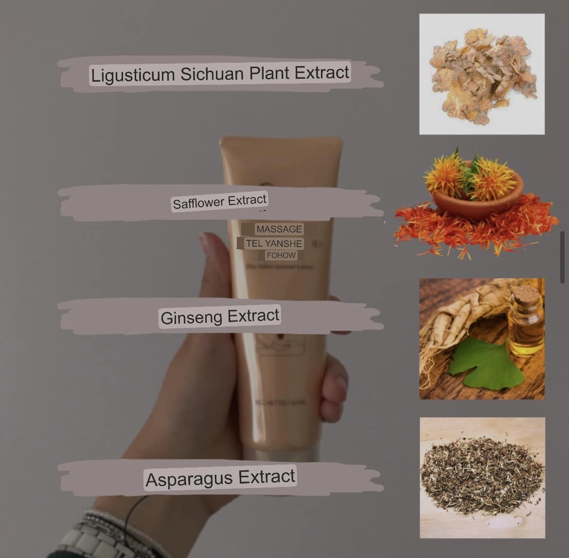 🌿 FOHOW Quantum Massage Cream