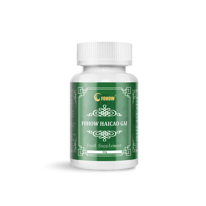 🌊 FOHOW HAIZAO GAI