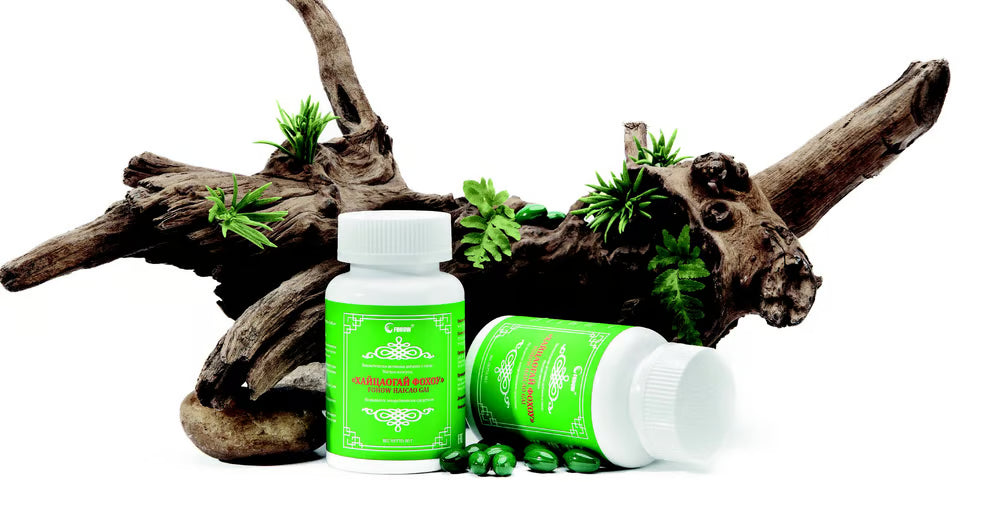 🌊 FOHOW HAIZAO GAI